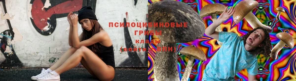 спайс Абаза