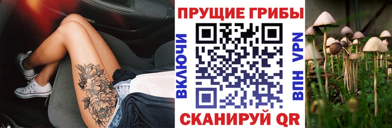 Псилоцибиновые грибы мухоморы  Таганрог 